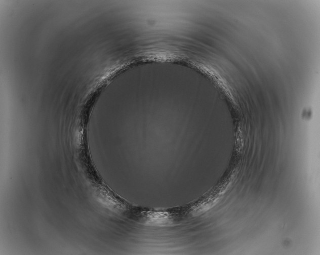 X0000097990355200804071158