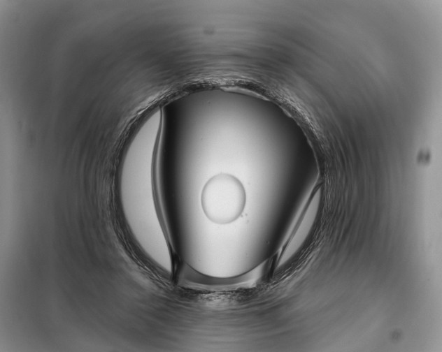 X0000097990356200804071158