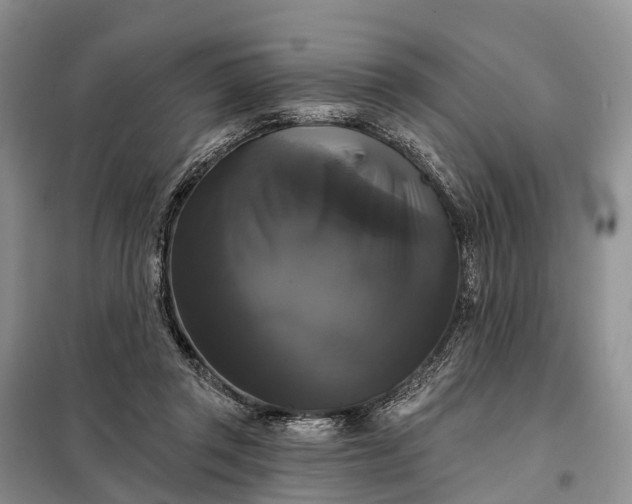 X0000097990357200804071158