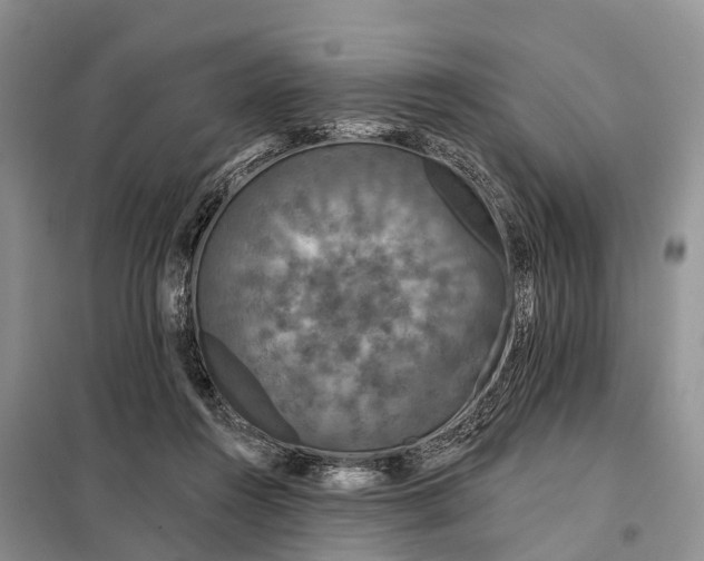 X0000097990360200804071158