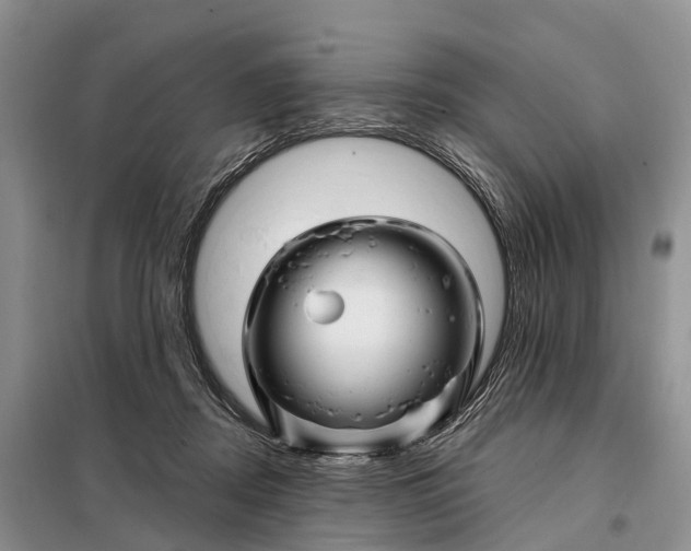 X0000097990362200804071158