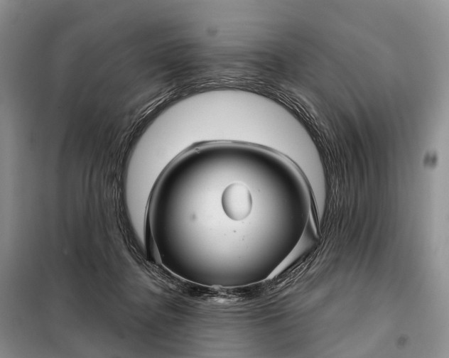 X0000097990364200804071158