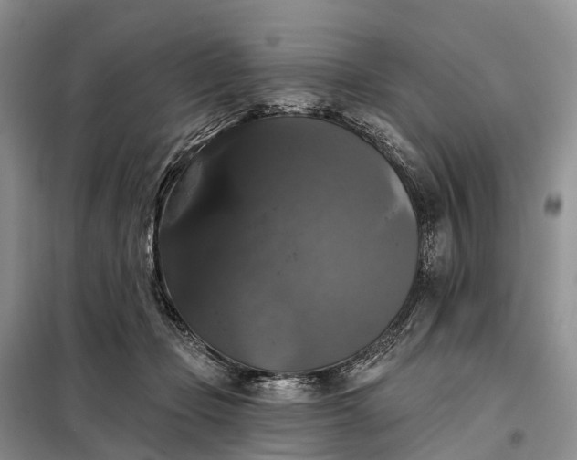 X0000097990365200804071158