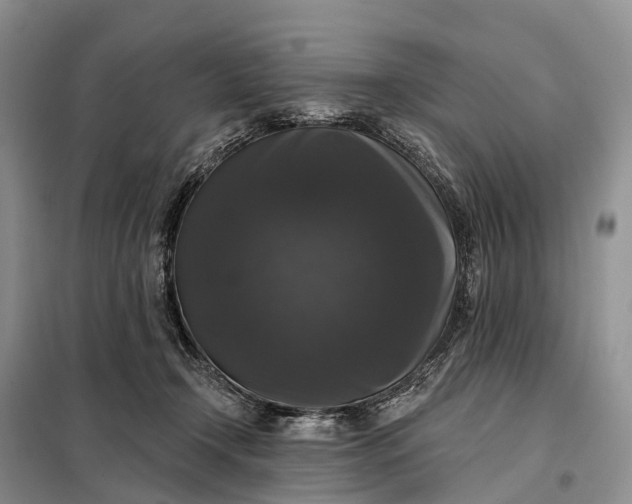 X0000097990366200804071158