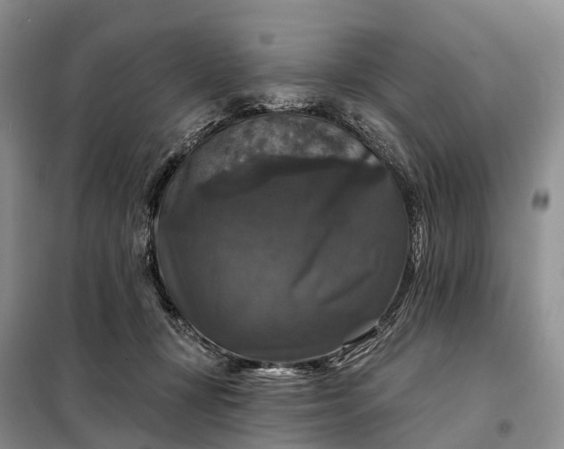 X0000097990367200804071158