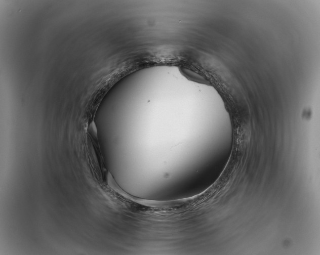 X0000097990368200804071158