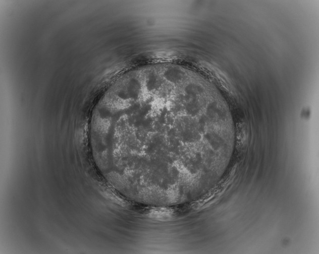 X0000097990369200804071158