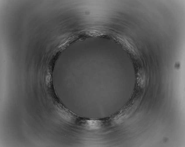 X0000097990371200804071158