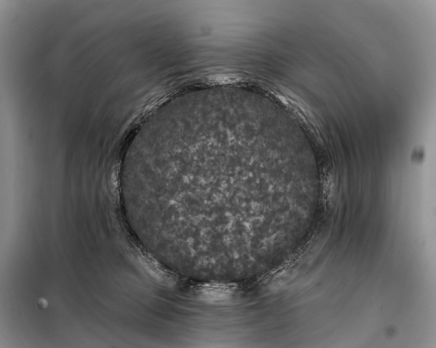 X0000097990373200804071158