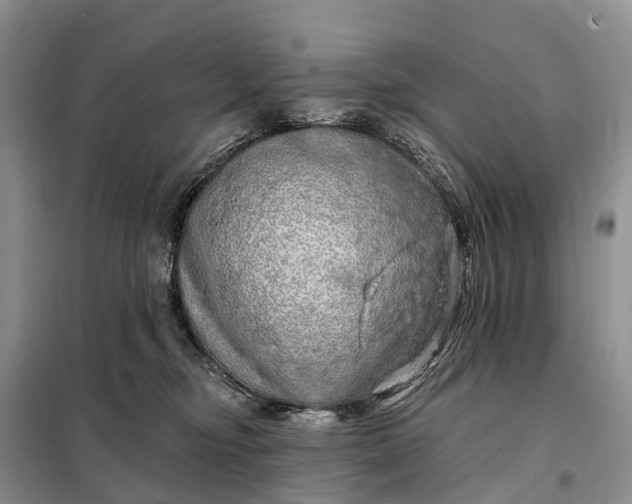 X0000097990374200804071158