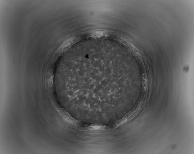 X0000097990375200804071158