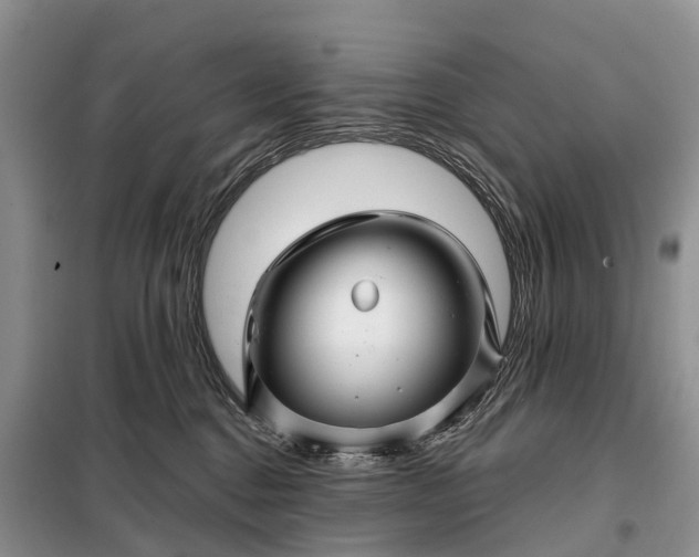 X0000097990376200804071158