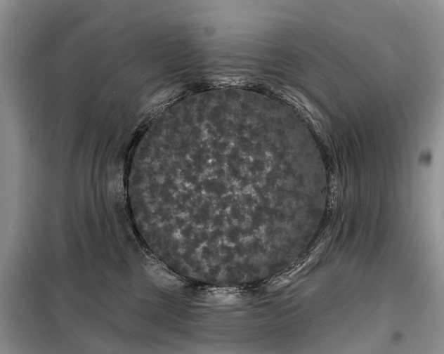 X0000097990377200804071158