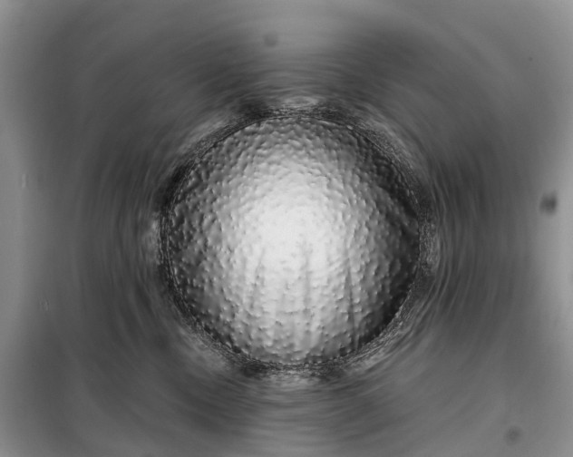X0000097990378200804071158