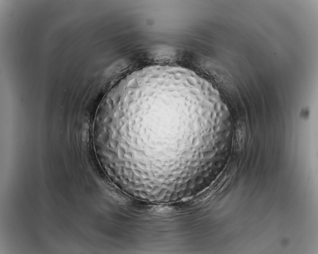X0000097990379200804071158