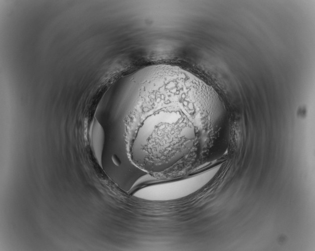 X0000097990380200804071158
