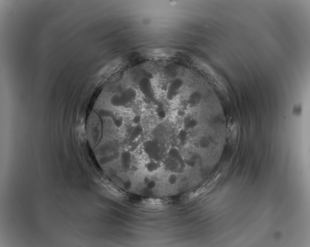 X0000097990381200804071158