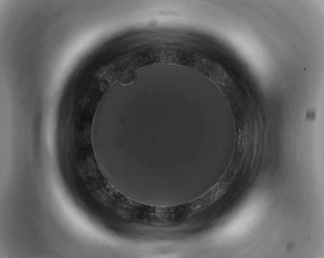 X0000097990383200804071158