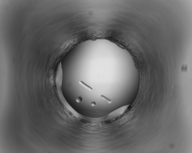 X0000097990384200804071158