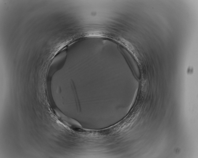 X0000097990385200804071157