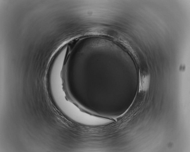 X0000097990387200804071157