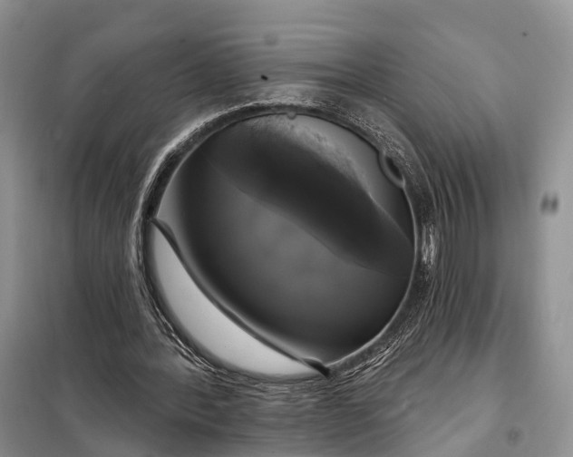 X0000097990388200804071157