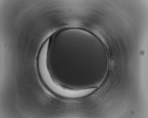 X0000097990389200804071157