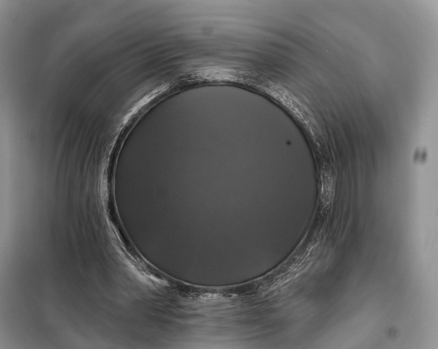 X0000097990390200804071157