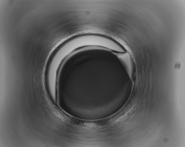 X0000097990391200804071157