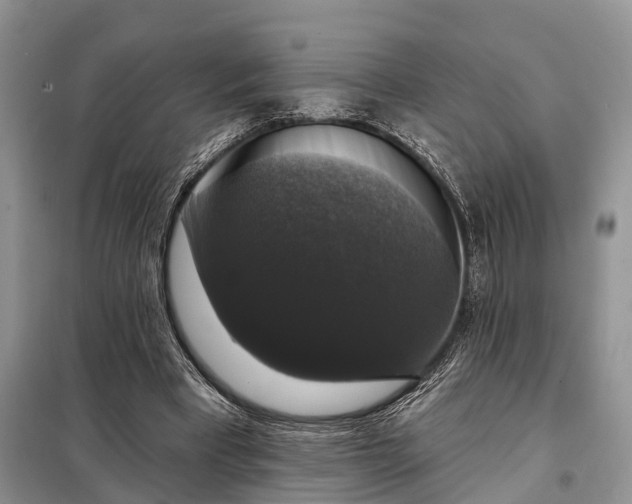 X0000097990393200804071157