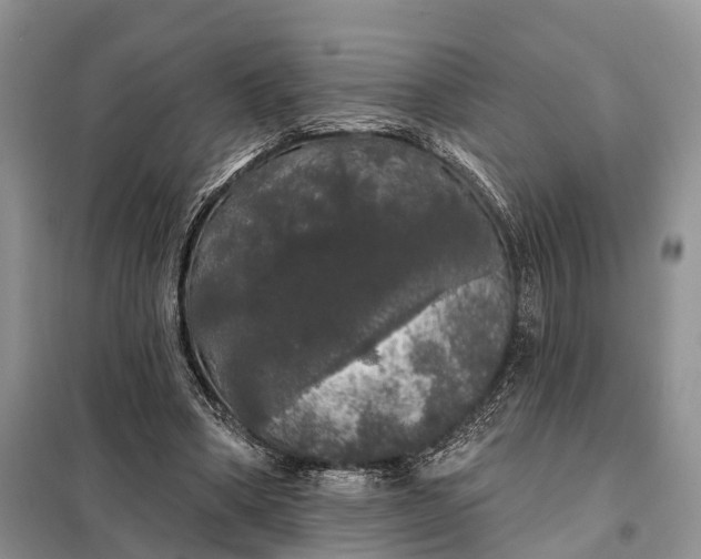 X0000097990394200804071157