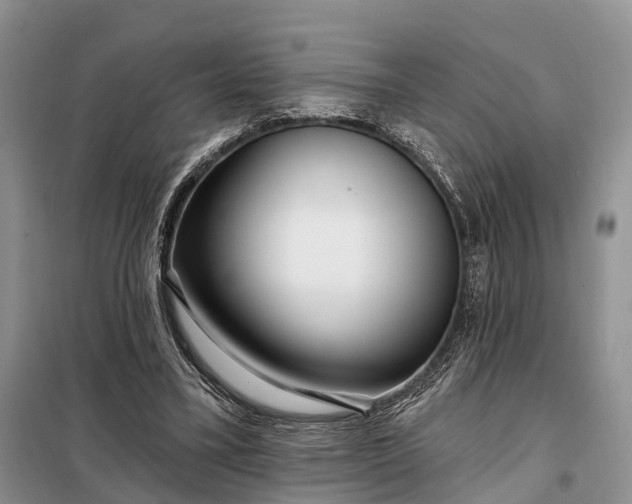 X0000097990395200804071157
