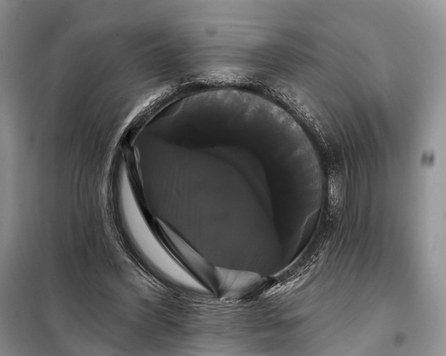 X0000097990396200804071157