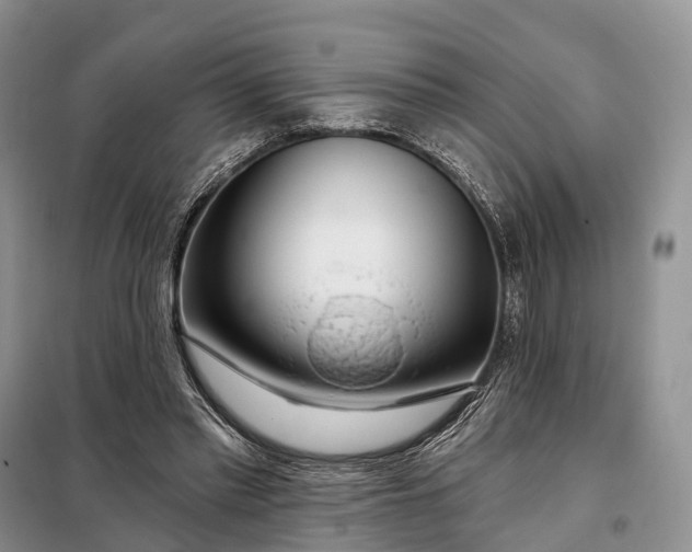 X0000097990397200804071157
