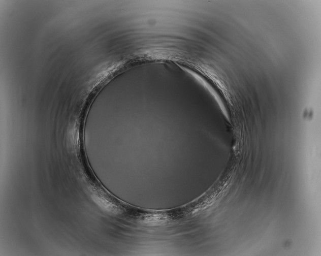 X0000097990398200804071157