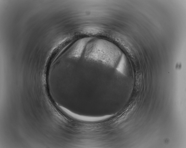 X0000097990399200804071157