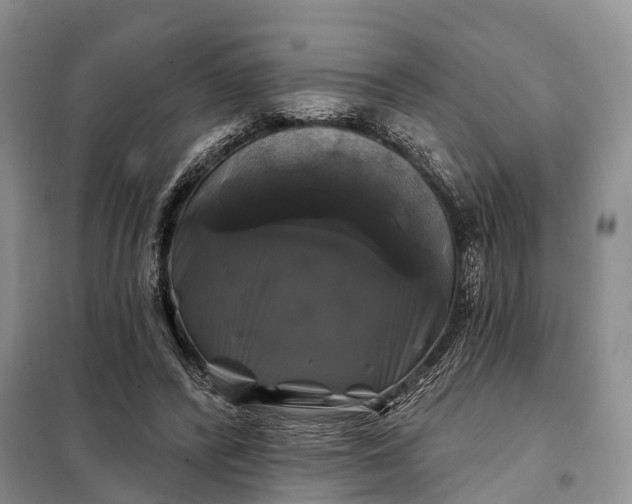 X0000097990400200804071157