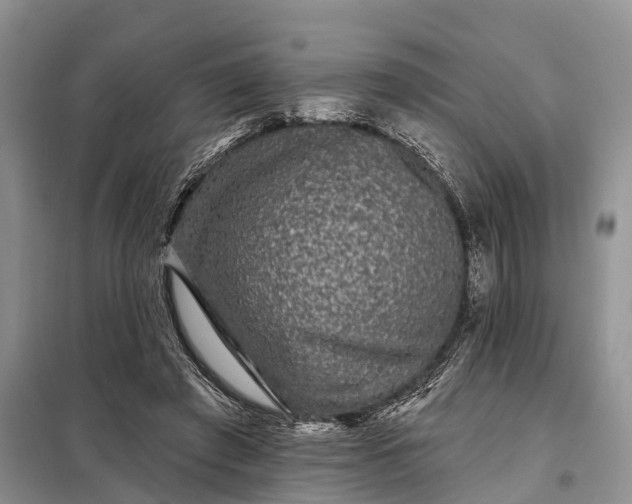 X0000097990401200804071157