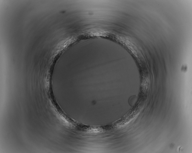X0000097990402200804071157