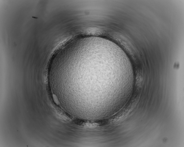 X0000097990403200804071157