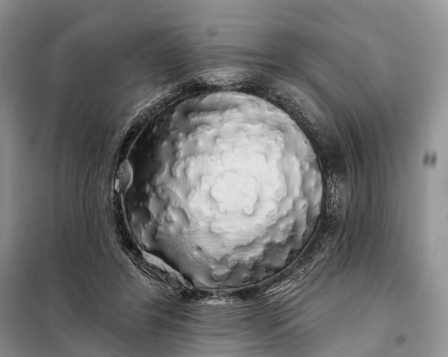 X0000097990404200804071157