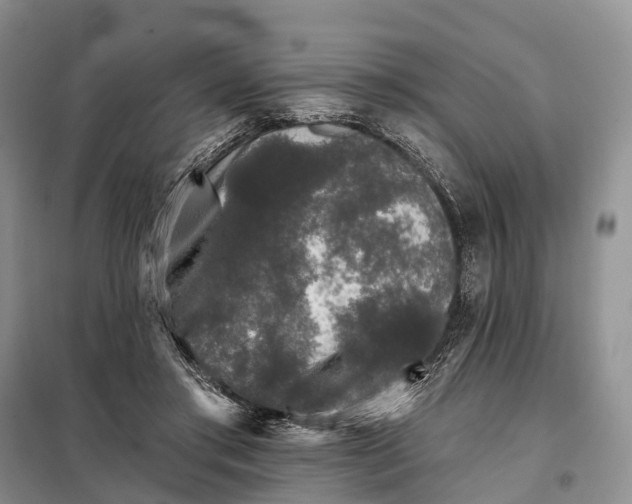 X0000097990405200804071157