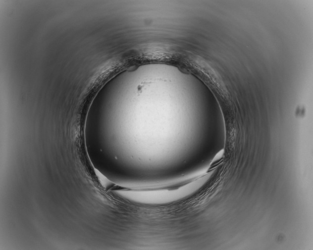 X0000097990407200804071157