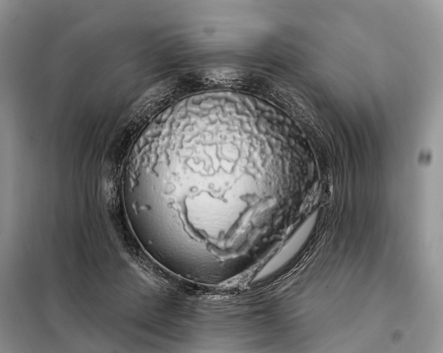 X0000097990408200804071157