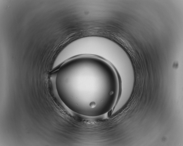 X0000097990409200804071157