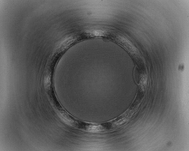 X0000097990410200804071157