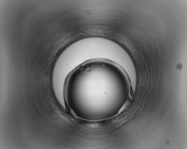 X0000097990411200804071157