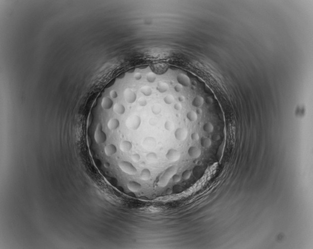 X0000097990412200804071157