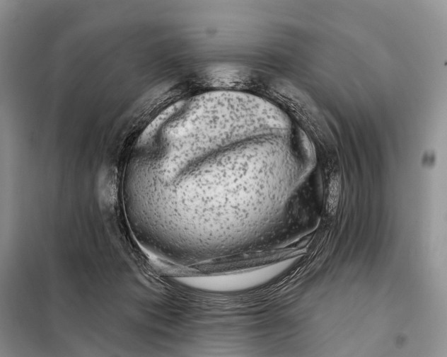 X0000097990413200804071157