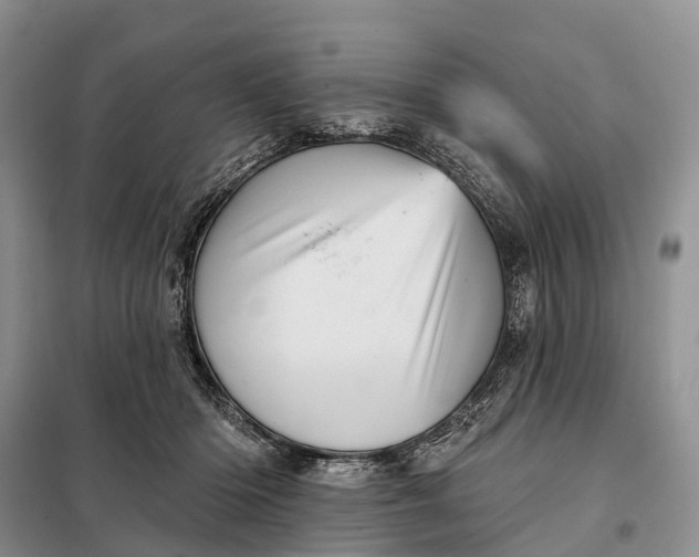 X0000097990414200804071157